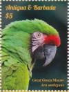 Colnect-2977-555-Great-Green-Macaw-Ara-ambiguus.jpg