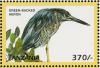 Colnect-3746-331-Green-backed-heron.jpg