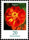 Colnect-5200-227-Tagetes-erecta---African-Marigold.jpg