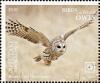 Colnect-7295-920-Barred-Owl-Strix-varia.jpg