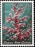 Colnect-1671-992-Carnation-Tree-Coral-Dendronephthya-sp.jpg