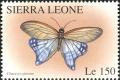Colnect-3579-901-Square-winged-Red-Charaxes-Charaxes-pleione-.jpg