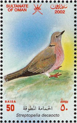 Colnect-1464-131-Eurasian-Collared-Dove-Streptopelia-decaocto.jpg