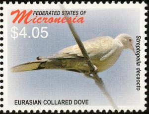 Colnect-1620-635-Eurasian-Collared-Dove-Streptopelia-decaocto.jpg