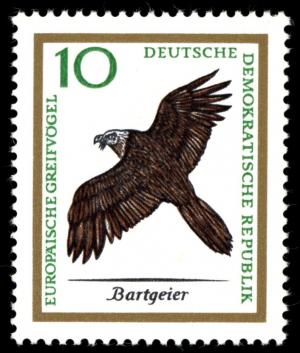 Colnect-1974-656-Bearded-Vulture-Gypa%C3%ABtus-barbatus-aureus.jpg