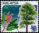 Colnect-1052-748-Malaysian-Trees--Elateriospermum-tapos.jpg