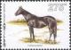 Colnect-960-105-Thoroughbred-Equus-ferus-caballus.jpg
