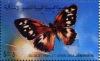 Colnect-1258-932-Butterfly-Chazara-prieuri.jpg