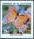 Colnect-2271-730-Butterfly-Anaea-excellens.jpg