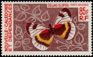 Colnect-860-540-Butterfly-Delias-elipsis.jpg