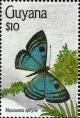 Colnect-3453-696-Butterfly-Mesosemia-ephyne.jpg