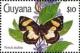 Colnect-3455-905-Butterfly-Nymula-phylleus.jpg