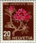 Colnect-139-894-Alpenrose-Rhododendron-ferrugineum.jpg
