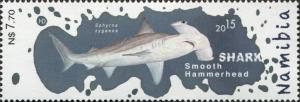 Colnect-3065-049-Smooth-Hammerhead-Shark-Sphyrna-zygaena.jpg