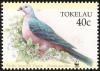Colnect-1458-506-Pacific-Imperial-Pigeon-Ducula-pacifica.jpg