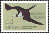 Colnect-1599-509-Lesser-Frigatebird-Fregata-ariel.jpg