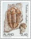 Colnect-160-821-Trilobite-Asaphus.jpg