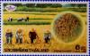 Colnect-3394-146-Rice-Cultivation.jpg