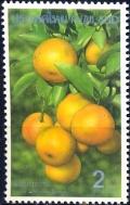 Colnect-2235-039-Mandarin-Citrus-reticulata.jpg