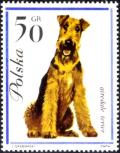 Colnect-4481-186-Airedale-Terrier-Canis-lupus-familiaris.jpg