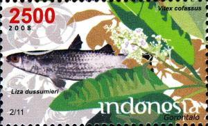 Colnect-1587-040-Fish-Liza-dussumieri-New-Guinea-Teak-Vitex-cofassus.jpg