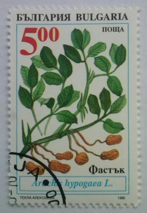 Colnect-2049-990-Traditional-agricultural-plants-in-Bulgaria.jpg