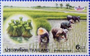 Colnect-3394-145-Rice-Cultivation.jpg