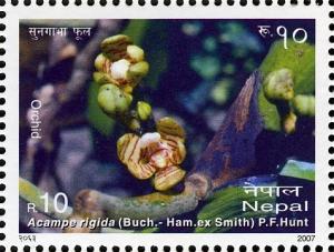 Colnect-551-395-Orchids---Acampe-rigida-Buch-Ham-ex-Smith-PFHunt.jpg