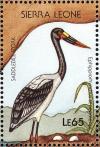 Colnect-1618-033-Saddle-billed-Stork-Ephippiorhynchus-senegalensis.jpg