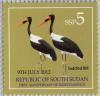Colnect-2103-701-Saddle-billed-Stork-Ephippiorhynchus-senegalensis.jpg