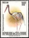 Colnect-2757-474-Saddle-billed-Stork-Ephippiorhynchus-senegalensis.jpg
