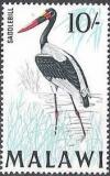 Colnect-488-560-Saddle-billed-Stork-Ephippiorhynchus-senegalensis.jpg