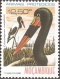 Colnect-1116-759-Saddle-billed-Stork-Ephippiorhynchus-senegalensis.jpg