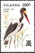 Colnect-1712-366-Saddle-billed-Stork-Ephippiorhynchus-senegalensis.jpg