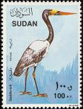 Colnect-2557-982-Saddle-billed-Stork-Ephippiorhynchus-senegalensis.jpg