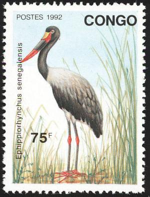 Colnect-1525-886-Saddle-billed-Stork-Ephippiorhynchus-senegalensis.jpg