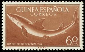 Colnect-1535-672-Blue-Shark-Carcharhinus-glaucus.jpg