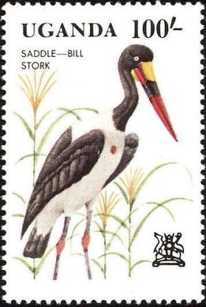 Colnect-1712-366-Saddle-billed-Stork-Ephippiorhynchus-senegalensis.jpg
