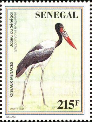 Colnect-2199-425-Saddle-billed-Stork-Ephippiorhynchus-senegalensis.jpg