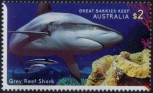 Colnect-6287-440-Grey-Reef-Shark-Carcharhinus-amblyrhynchos.jpg