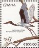 Colnect-1459-811-Saddle-billed-Stork-Ephippiorhynchus-senegalensis.jpg