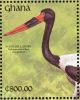 Colnect-1718-867-Saddle-billed-Stork-Ephippiorhynchus-senegalensis.jpg