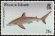 Colnect-3962-135-Galapagos-Shark-Carcharhinus-galapagensis.jpg