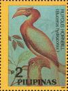 Colnect-2859-159-Rufous-Hornbill-Buceros-hydrocorax.jpg