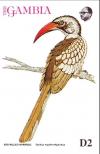 Colnect-5593-942-Red-billed-Hornbill-Tockus-erythrorhynchus.jpg