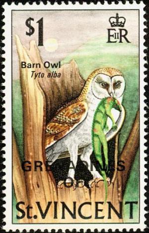 Colnect-1753-952-Western-Barn-Owl-Tyto-alba.jpg
