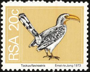 Southern-Yellow-billed-Hornbill-Tockus-leucomelas.jpg
