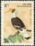 Colnect-1599-423-Great-Hornbill-Buceros-bicornis.jpg
