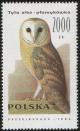 Colnect-1999-893-Western-Barn-Owl-Tyto-alba.jpg