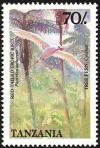 Colnect-1745-657-Red-billed-Tropicbird-Phaethon-aethereus.jpg